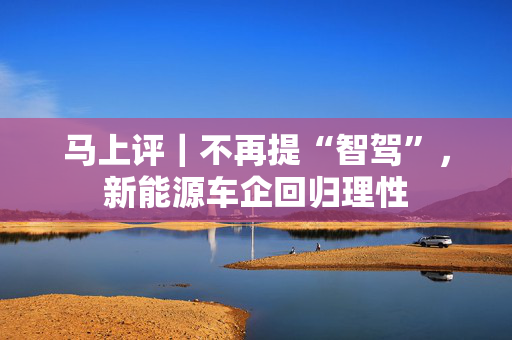 马上评｜不再提“智驾”，新能源车企回归理性