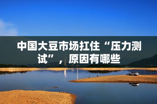 中国大豆市场扛住“压力测试”，原因有哪些