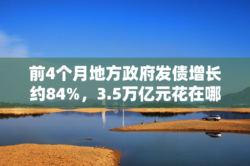 前4个月地方政府发债增长约84%，3.5万亿元花在哪里