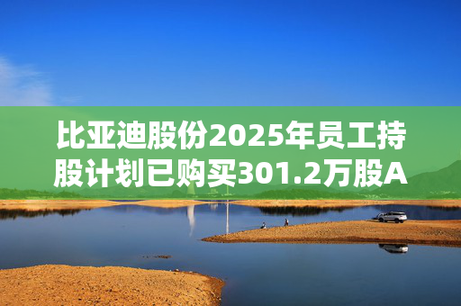比亚迪股份2025年员工持股计划已购买301.2万股A股