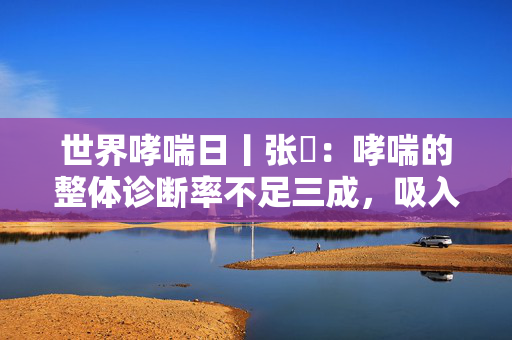 世界哮喘日丨张旻：哮喘的整体诊断率不足三成，吸入治疗是重要治疗手段