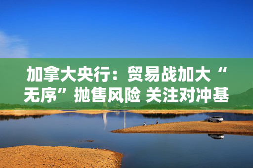 加拿大央行：贸易战加大“无序”抛售风险 关注对冲基金杠杆问题