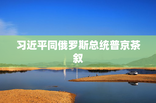 习近平同俄罗斯总统普京茶叙