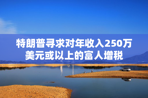 特朗普寻求对年收入250万美元或以上的富人增税