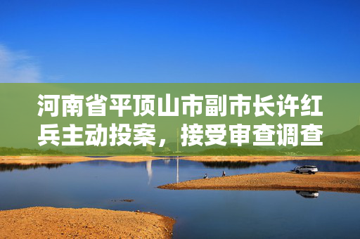 河南省平顶山市副市长许红兵主动投案，接受审查调查