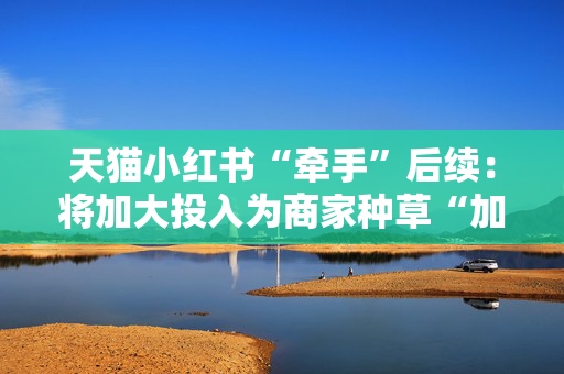 天猫小红书“牵手”后续：将加大投入为商家种草“加热”