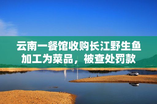 云南一餐馆收购长江野生鱼加工为菜品，被查处罚款