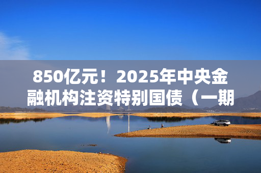 850亿元！2025年中央金融机构注资特别国债（一期）拟第一次续发行