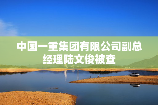 中国一重集团有限公司副总经理陆文俊被查