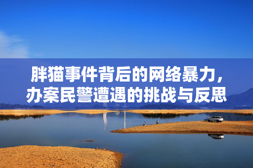 胖猫事件背后的网络暴力，办案民警遭遇的挑战与反思
