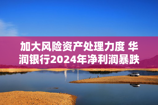 加大风险资产处理力度 华润银行2024年净利润暴跌近七成