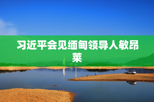 习近平会见缅甸领导人敏昂莱
