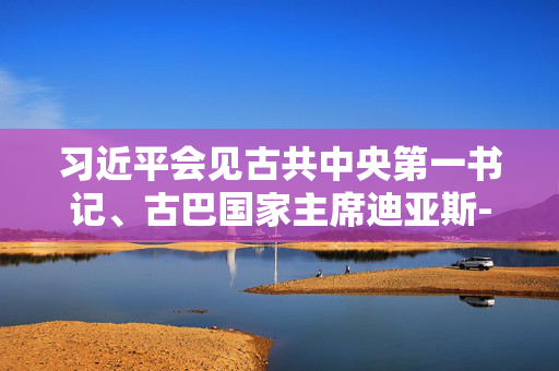 习近平会见古共中央第一书记、古巴国家主席迪亚斯-卡内尔