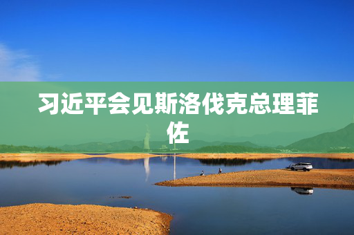 习近平会见斯洛伐克总理菲佐