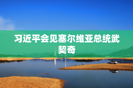 习近平会见塞尔维亚总统武契奇