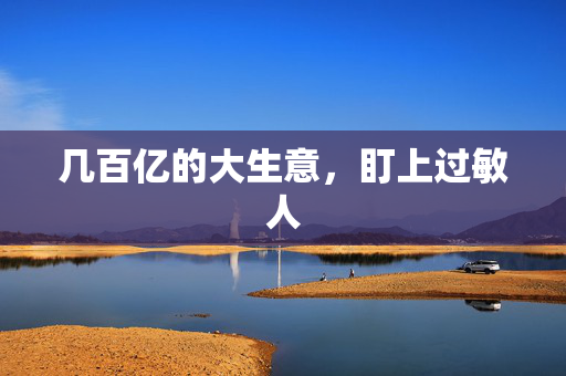 几百亿的大生意，盯上过敏人