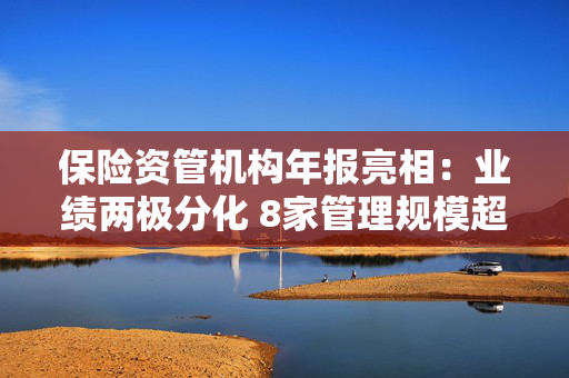 保险资管机构年报亮相：业绩两极分化 8家管理规模超万亿