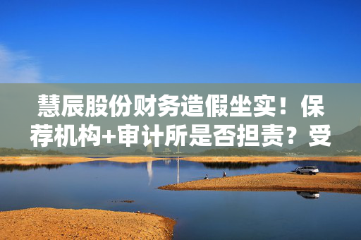 慧辰股份财务造假坐实！保荐机构+审计所是否担责？受损股民维权指南