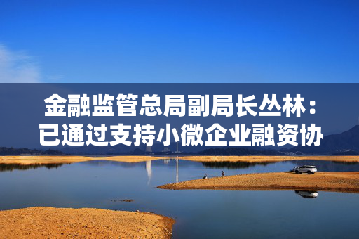 金融监管总局副局长丛林：已通过支持小微企业融资协调工作机制向小微主体新发放贷款12.6万亿元