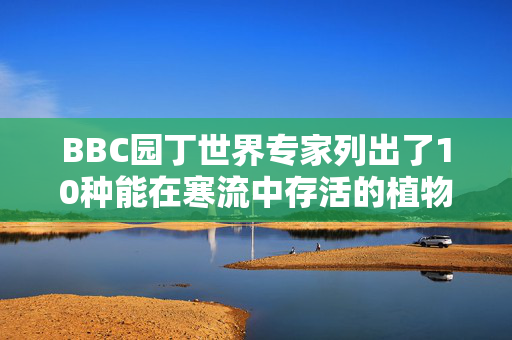 BBC园丁世界专家列出了10种能在寒流中存活的植物