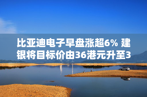 比亚迪电子早盘涨超6% 建银将目标价由36港元升至38港元