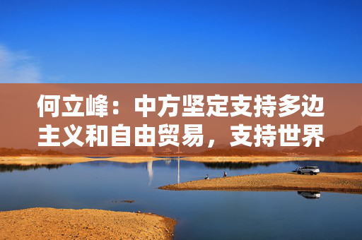 何立峰：中方坚定支持多边主义和自由贸易，支持世界贸易组织在全球经济治理中发挥更大作用