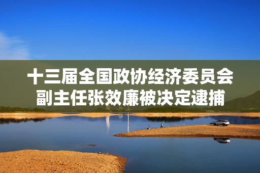 十三届全国政协经济委员会副主任张效廉被决定逮捕