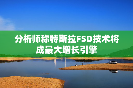 分析师称特斯拉FSD技术将成最大增长引擎
