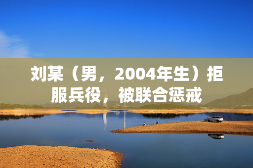 刘某（男，2004年生）拒服兵役，被联合惩戒