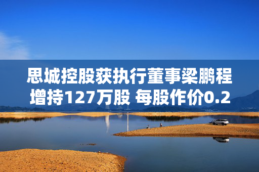 思城控股获执行董事梁鹏程增持127万股 每股作价0.27港元
