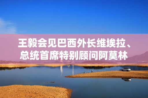 王毅会见巴西外长维埃拉、总统首席特别顾问阿莫林
