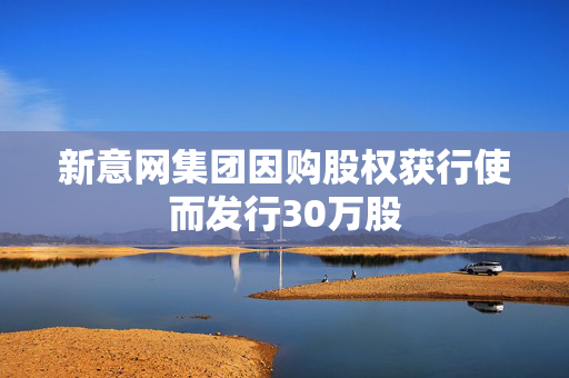 新意网集团因购股权获行使而发行30万股