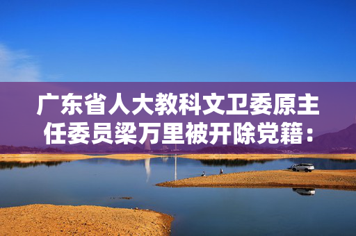 广东省人大教科文卫委原主任委员梁万里被开除党籍：退休后受贿仍不知止