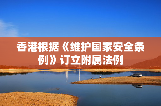 香港根据《维护国家安全条例》订立附属法例