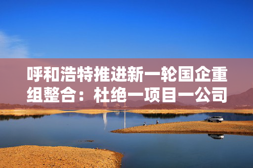 呼和浩特推进新一轮国企重组整合：杜绝一项目一公司、一业务一公司