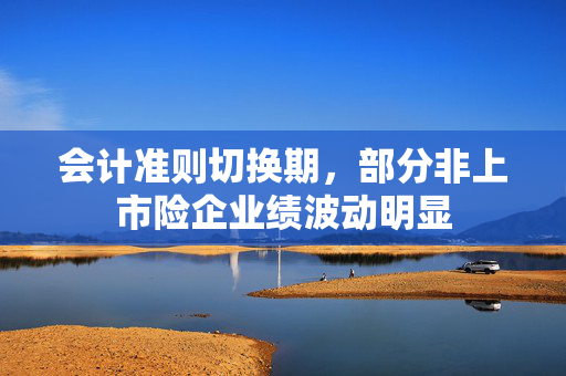 会计准则切换期，部分非上市险企业绩波动明显