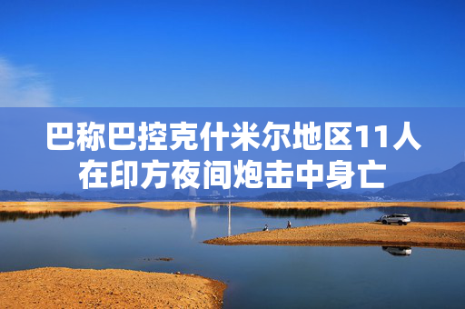 巴称巴控克什米尔地区11人在印方夜间炮击中身亡