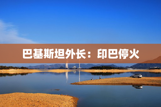 巴基斯坦外长：印巴停火