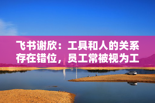 飞书谢欣：工具和人的关系存在错位，员工常被视为工具的附属