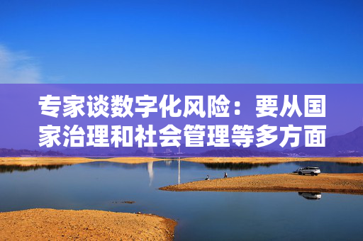 专家谈数字化风险：要从国家治理和社会管理等多方面采取措施