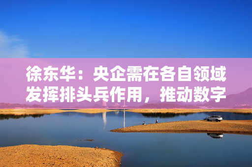 徐东华：央企需在各自领域发挥排头兵作用，推动数字化转型