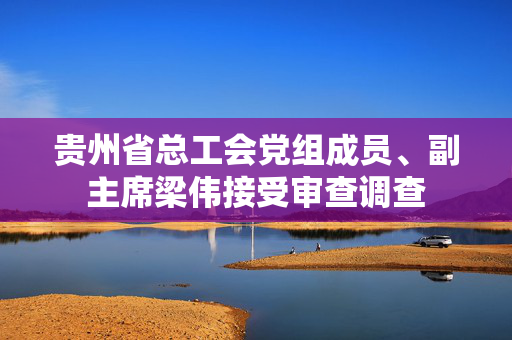 贵州省总工会党组成员、副主席梁伟接受审查调查
