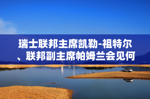 瑞士联邦主席凯勒-祖特尔、联邦副主席帕姆兰会见何立峰