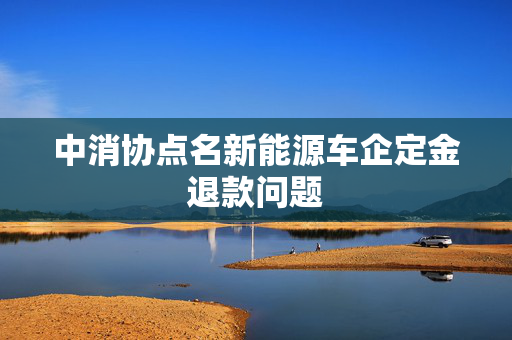 中消协点名新能源车企定金退款问题