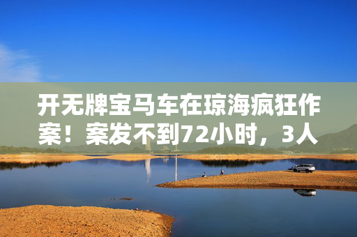 开无牌宝马车在琼海疯狂作案！案发不到72小时，3人落网