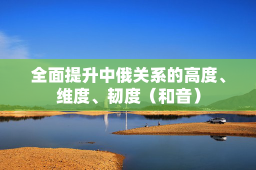 全面提升中俄关系的高度、维度、韧度（和音）