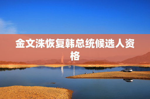 金文洙恢复韩总统候选人资格