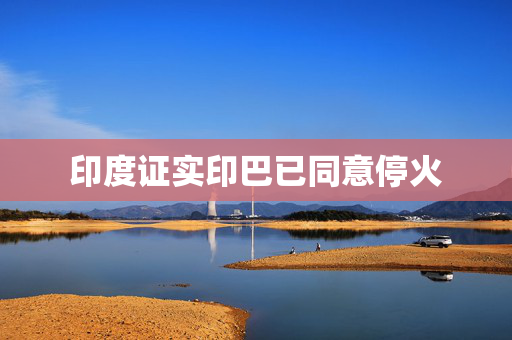 印度证实印巴已同意停火