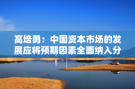 高培勇：中国资本市场的发展应将预期因素全面纳入分析和监测体系