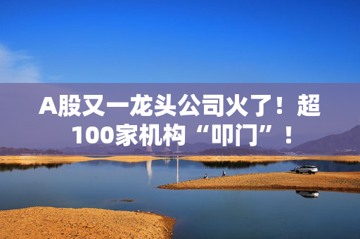 A股又一龙头公司火了！超100家机构“叩门”！